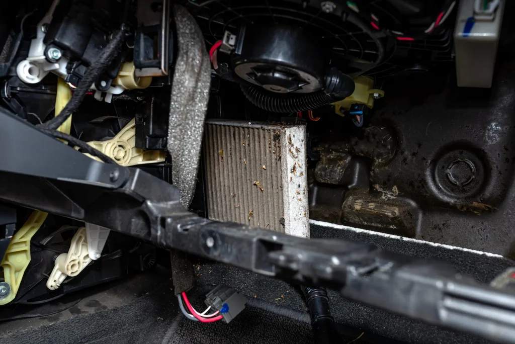 Clogged and dirty cabin air filter showing the cost of skipping preventive car maintenance.